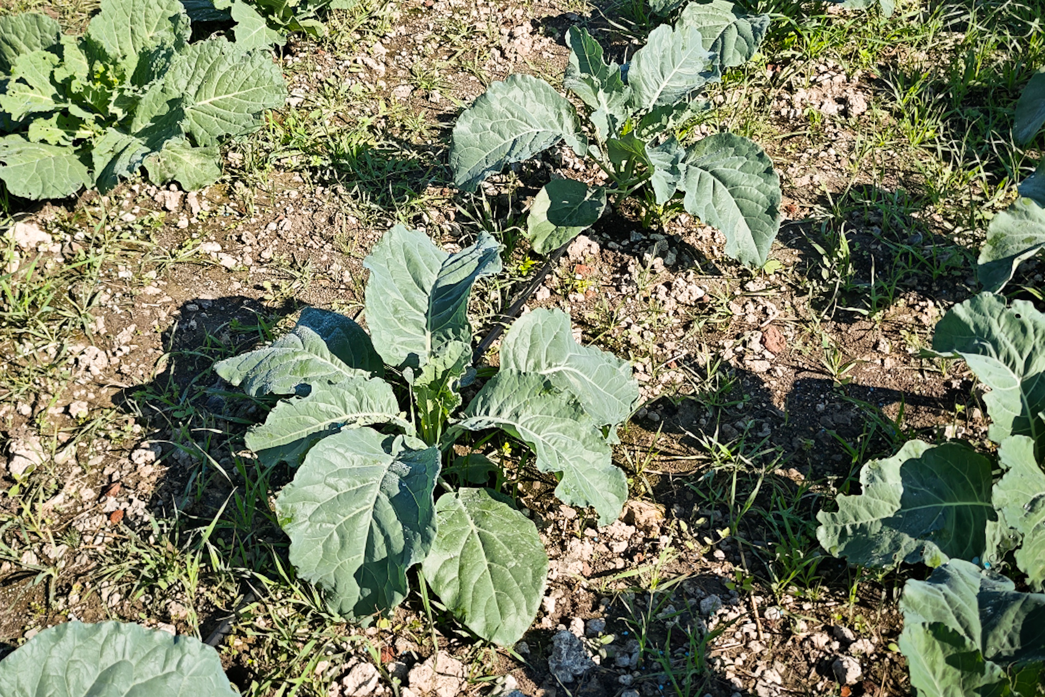MVIMG_20250916_101526