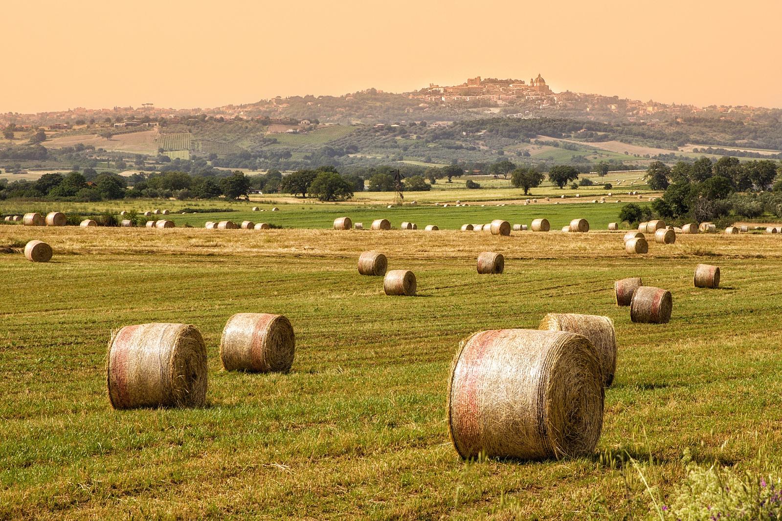 campagna