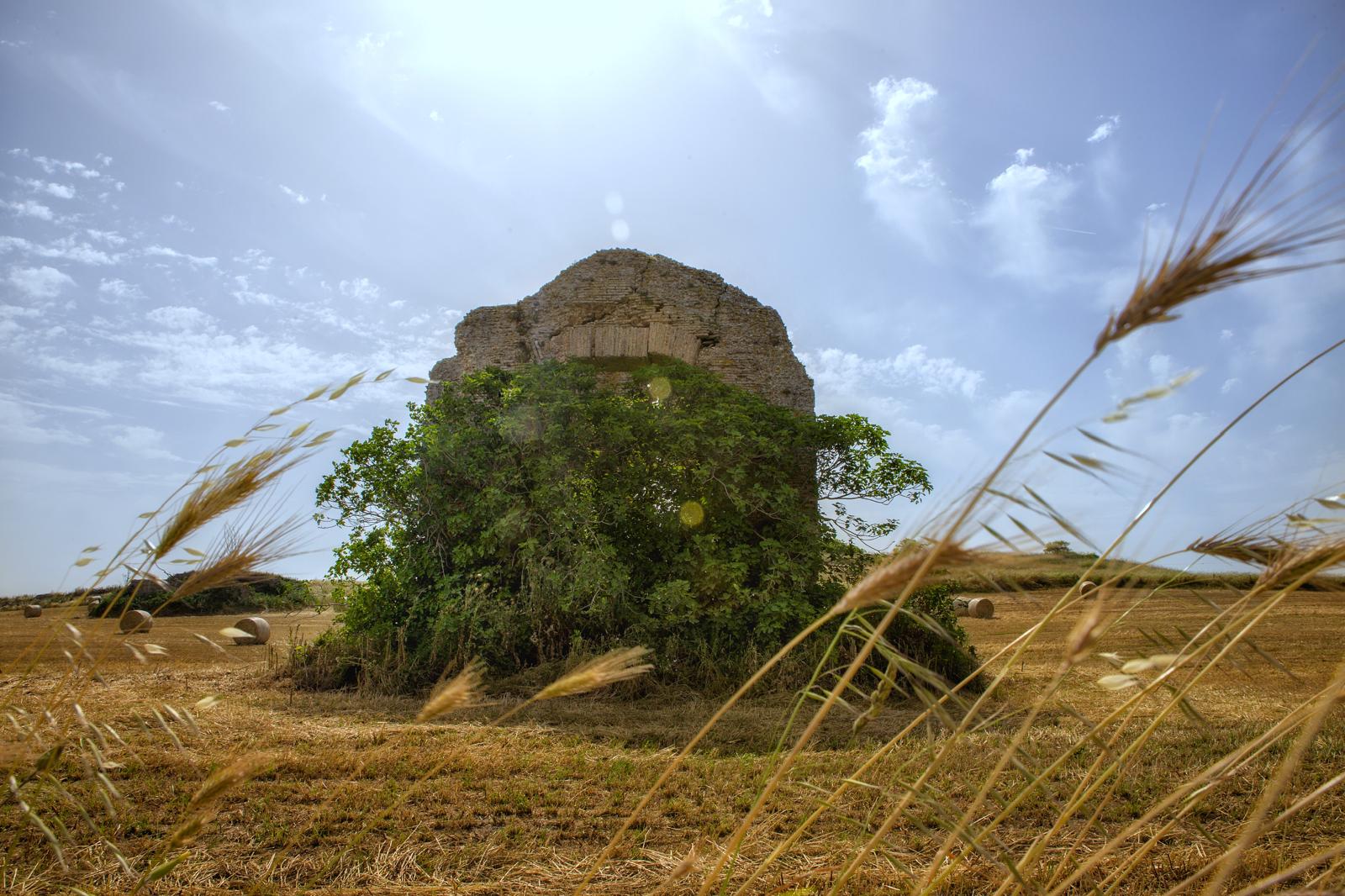 francigena ruderi archeologici